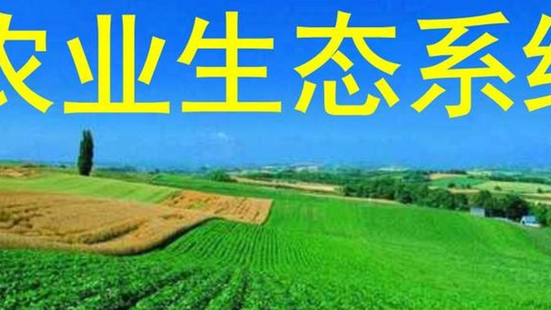 成都温室大棚工程：现代农业的“绿色港湾