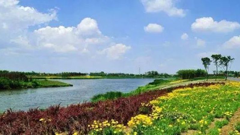 农产品批发与零售：优劣势解析**