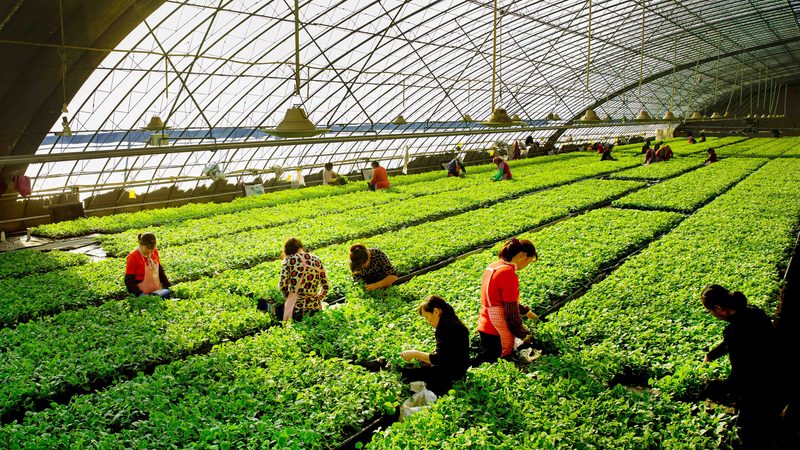 休闲农业投资风险评估：如何规避潜在风险