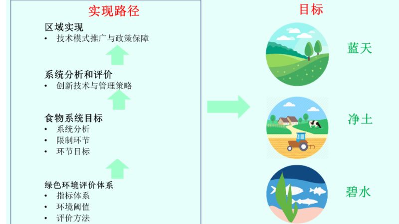 蔬菜大棚种植注意事项详解