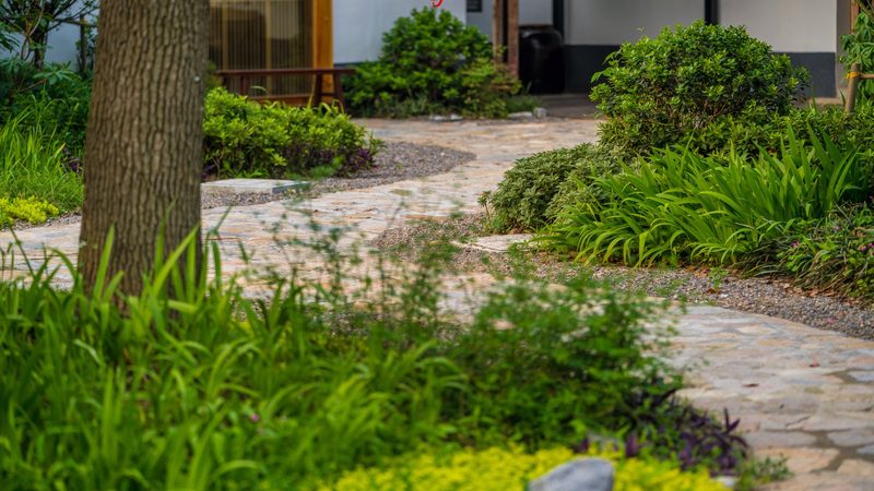 小成本果蔬配送平台加盟，如何精准定位市场？**