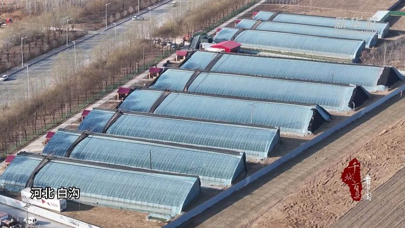 农产品供应链金融：如何选择合适的金融服务机构**