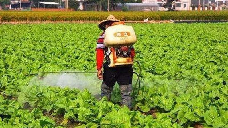 生鲜配送车尺寸参数