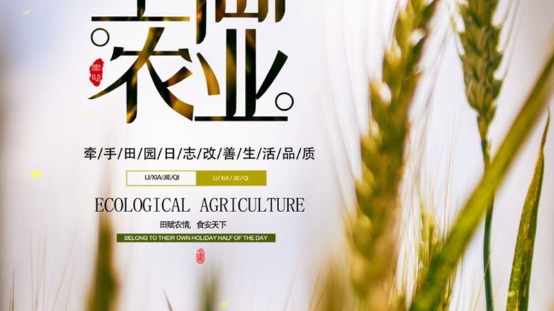 成都果蔬配送报价对比